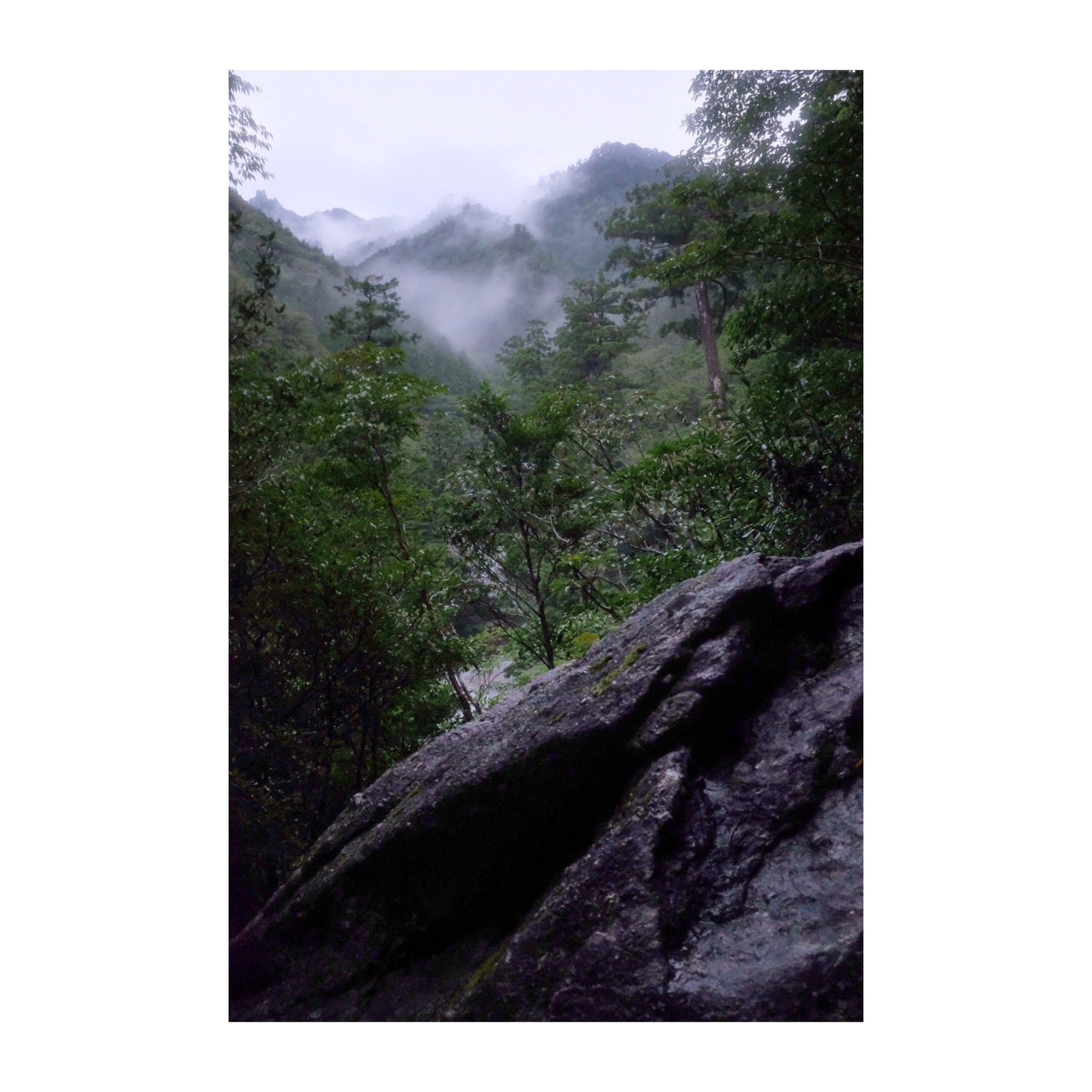 Yakushima Island | © Gerald Holubowicz - 2020